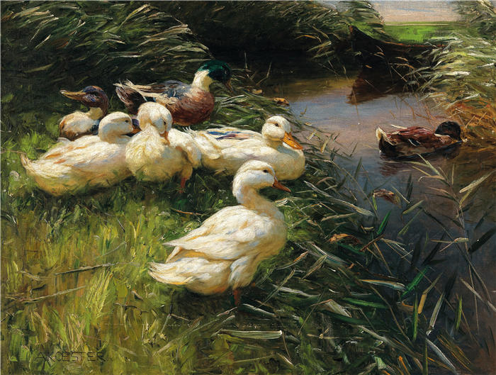 亚历山大·科斯特（Alexander Koester，德国画家）高清作品-《芦苇湖畔的鸭子乘船》