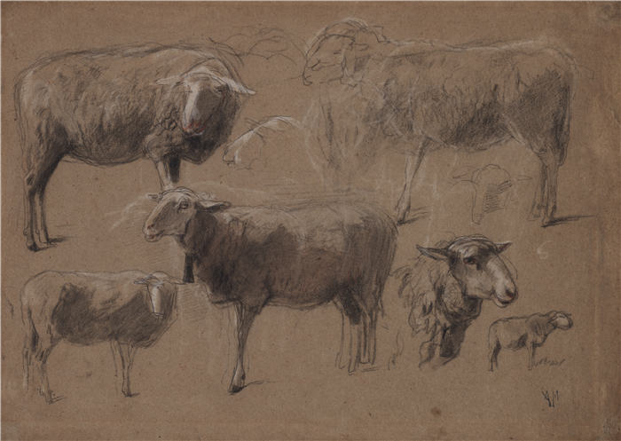 安东·莫夫（Anton Mauve，荷兰）作品-绵羊研究（1800 年代后半期）