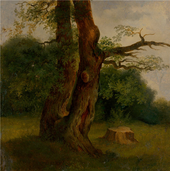 约瑟夫·博热克·克莱门斯 (Jozef Božetech Klemens) 作品-研究绿叶树（1860–1870）