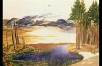 阿尔布雷希特·丢勒 (Albrecht Dürer) 作品-树林里的池塘