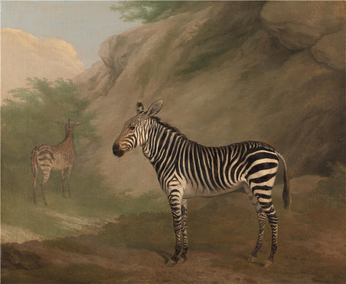 雅克-洛朗·阿加斯（Jacques-Laurent Agasse）作品-斑马 (1803)