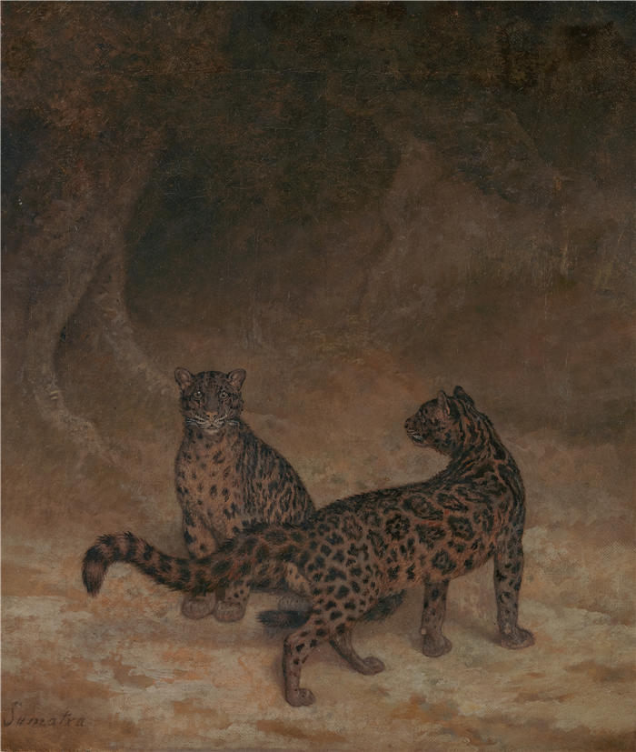雅克-洛朗·阿加斯（Jacques-Laurent Agasse）作品-云豹（约 1825 年）