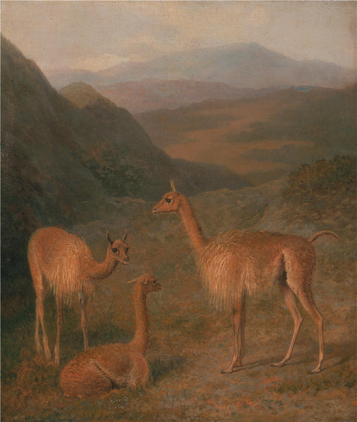 雅克-洛朗·阿加斯（Jacques-Laurent Agasse）作品-骆马（约 1831 年）