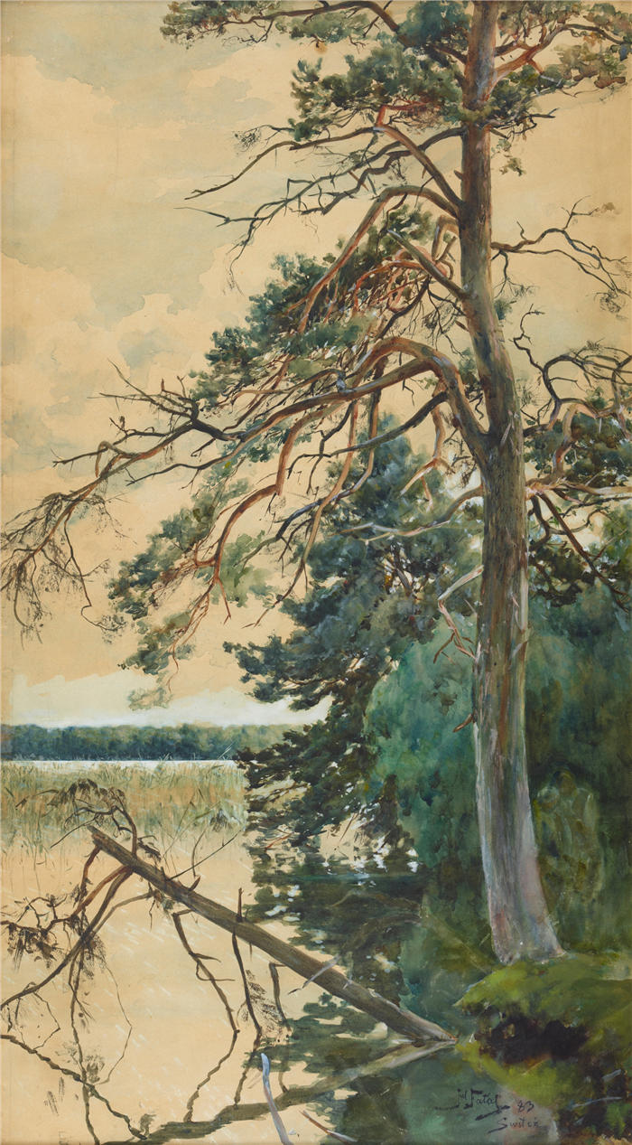 朱利安·法拉特(Julian Falat) 作品-Świteź (1883)