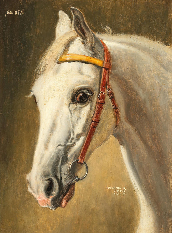 亚历山大·波克（Alexander Pock）作品-Pferdeportrait Quinta（1926年）