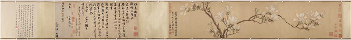 明 佚名(传文徵明) 《玉兰图卷》纸本27.9x133