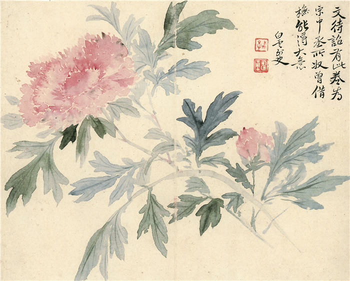 清 恽寿平《瓯香馆写生册》 牡丹