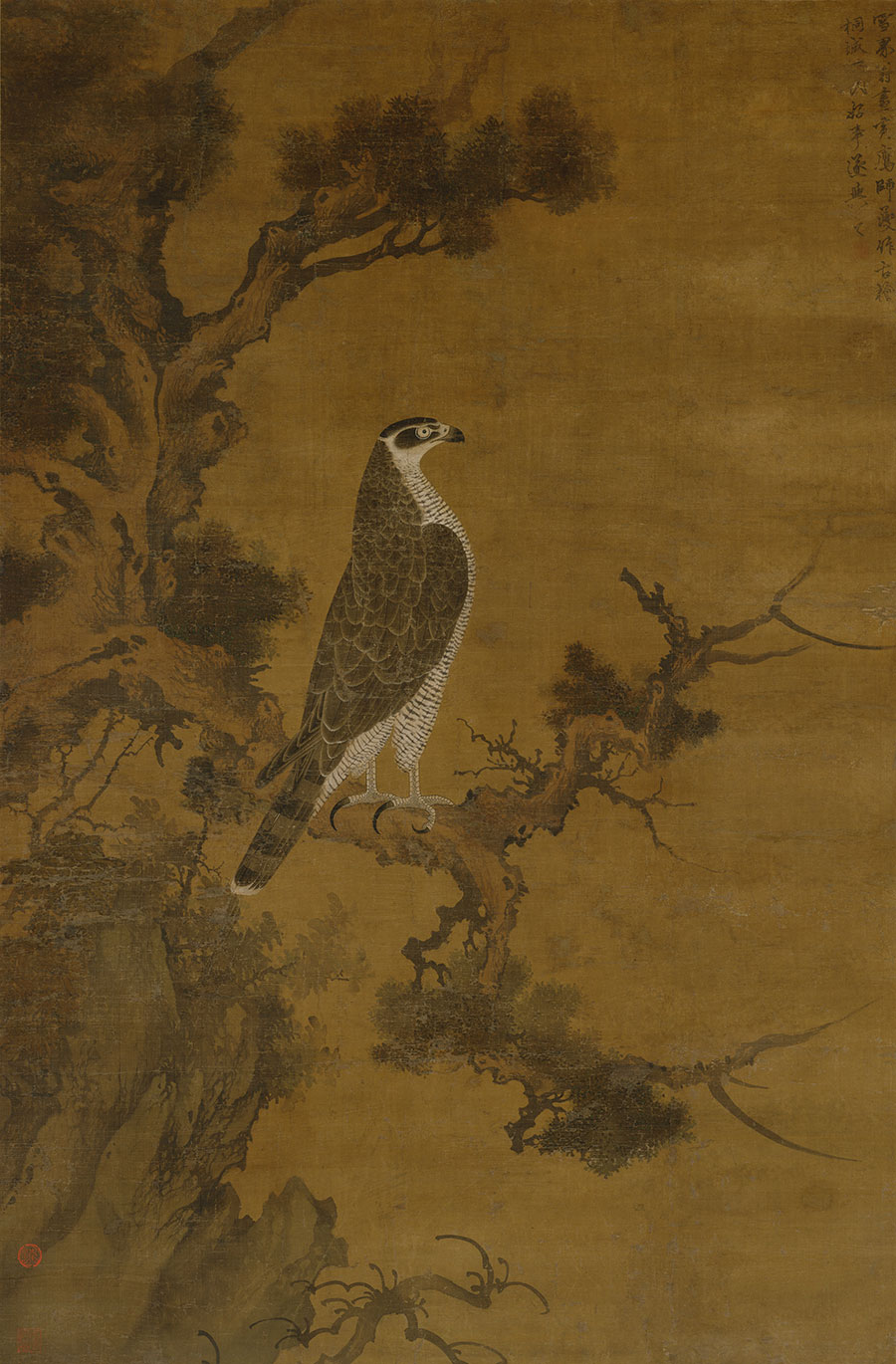 元 张舜咨 《柏鹰图》（雪界翁）绢本作品高清下载 146x96