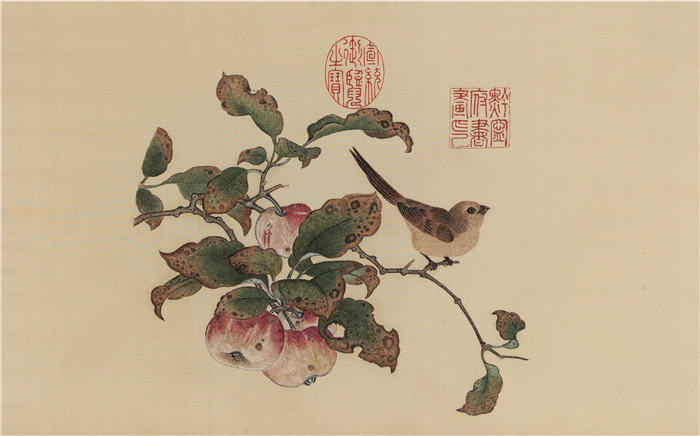 宋 黄筌 《苹婆山鸟图》高清作品 34x55