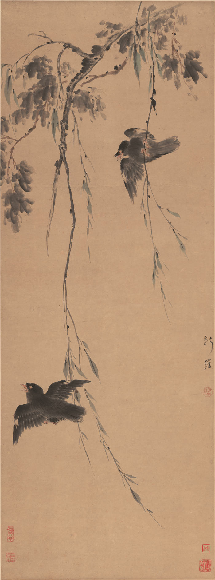 清 华岩 《柳禽图》 纸本高清作品  52.7x142.1 