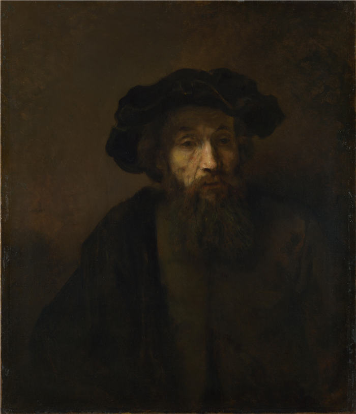 伦勃朗·范·瑞恩 (Rembrandt van Rijn，荷兰 ) 作品《一个长满胡子的人》033