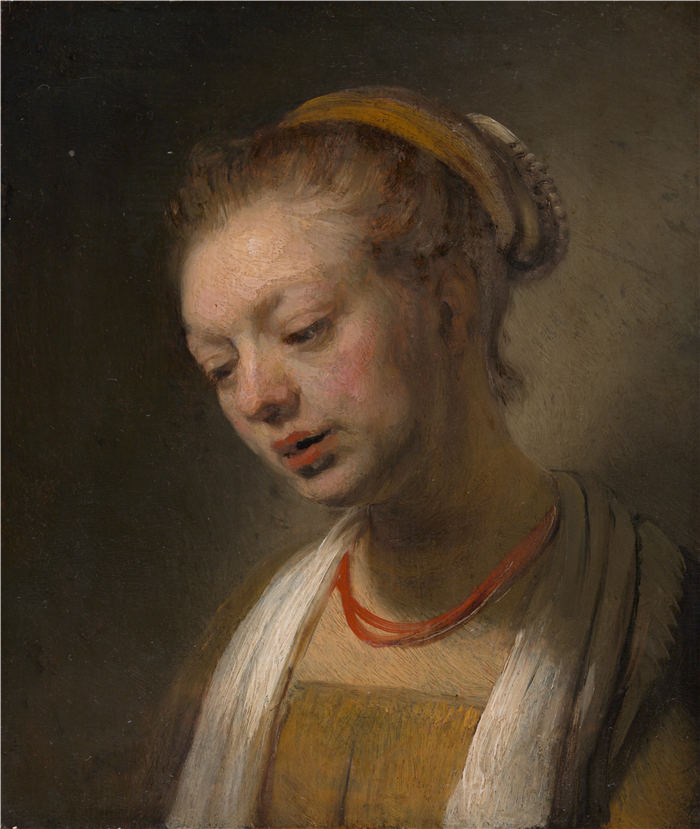 伦勃朗·范·瑞恩 (Rembrandt van Rijn，荷兰 ) 作品 170