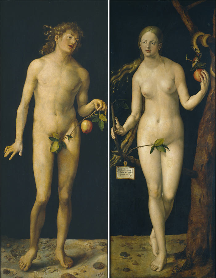 阿尔布雷希特·丢勒 (Albrecht Dürer)高清作品- (6)《亚当和夏娃（两个面板）》