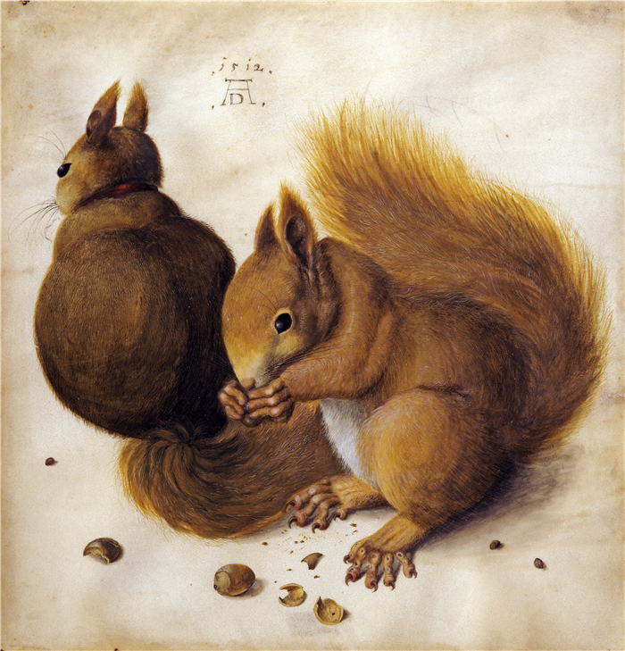 阿尔布雷希特·丢勒 (Albrecht Dürer)高清作品- 两只松鼠 (1)