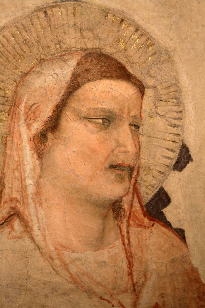 乔托（Giotto）高清作品-麦当娜·多伦特，约1305-10年