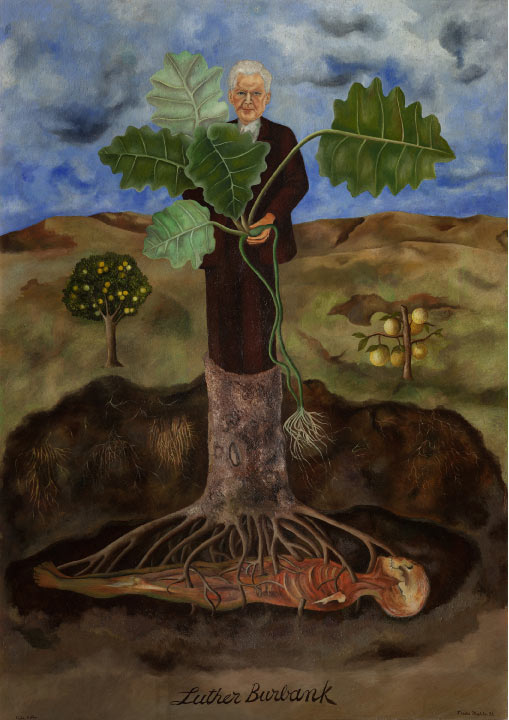 弗里达·卡罗（Frida Kahlo，墨西哥）高清作品-路德·伯班克的肖像