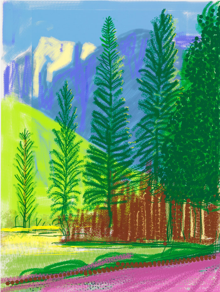 大卫·霍克尼(David Hockney,英国)高清作品-2010年优胜美地国家公园,编号12