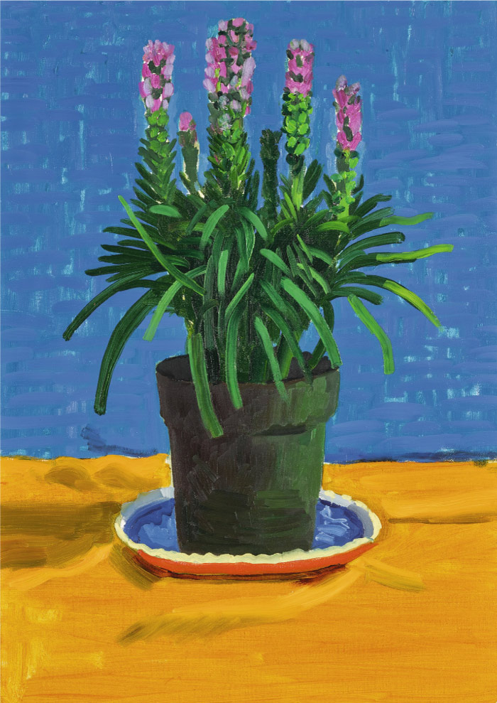 大卫·霍克尼（David Hockney，英国）高清作品-1995年黄色布上的植物