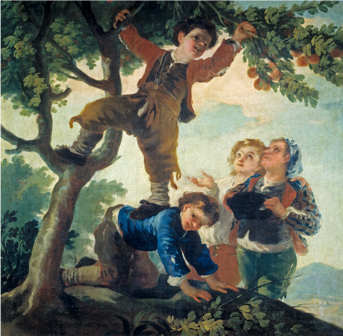 戈雅 （Francisco de Goya y Lucientes）高清作品-摘水果的男孩