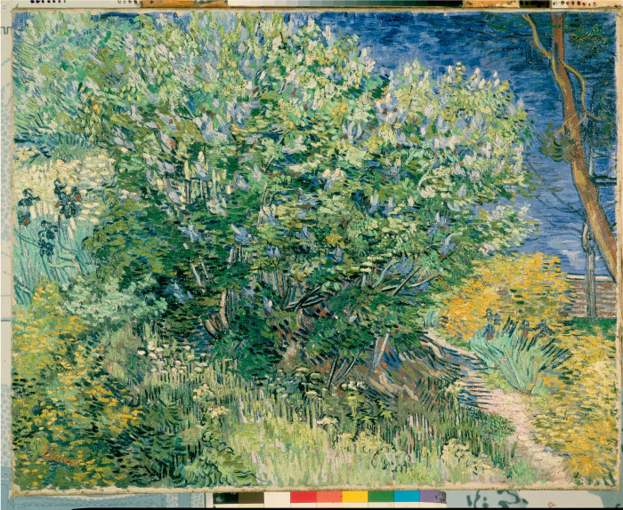 梵高（Vincent van Gogh）高清作品 –Vincent van Lilac Bush