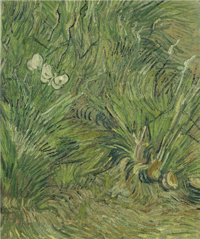 梵高（Vincent van Gogh）高清作品 –Garden with Butterflies
