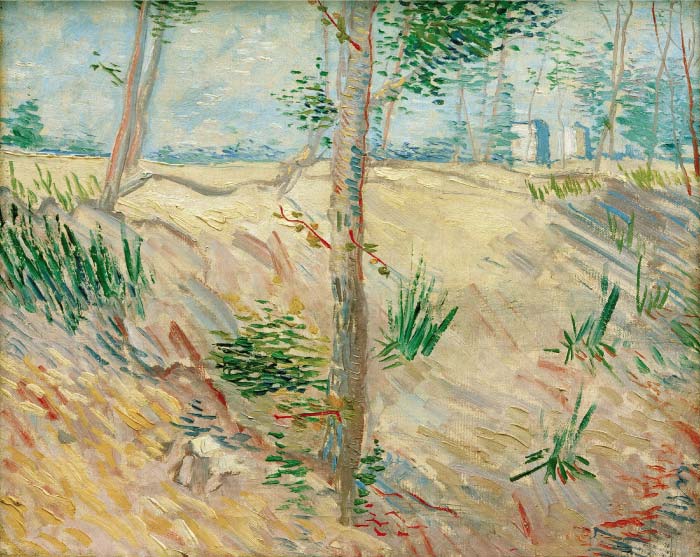 梵高（Vincent van Gogh）高清作品-晴天田野里的树 Trees in a Field on a Sunny Day