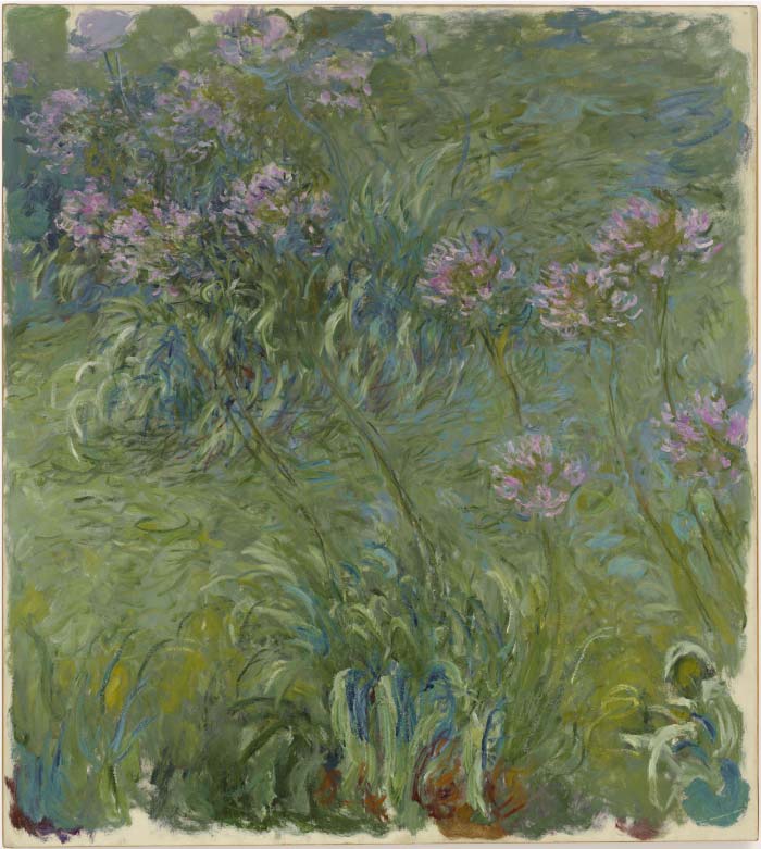 克洛德·莫奈(Claude Monet)高清作品- Agapanthus, 1914 17