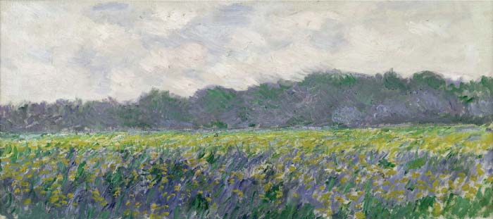 克洛德·莫奈（Claude Monet）高清作品- 吉维尼野地里的黄鸢尾