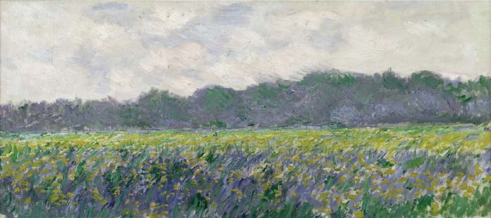 克洛德·莫奈(Claude Monet)高清作品- 吉维尼野地里的黄鸢尾