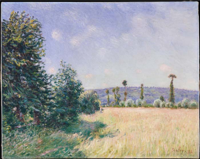 阿尔弗雷德·西斯利（Alfred Sisley）高清作品-早晨阳光下的萨哈斯