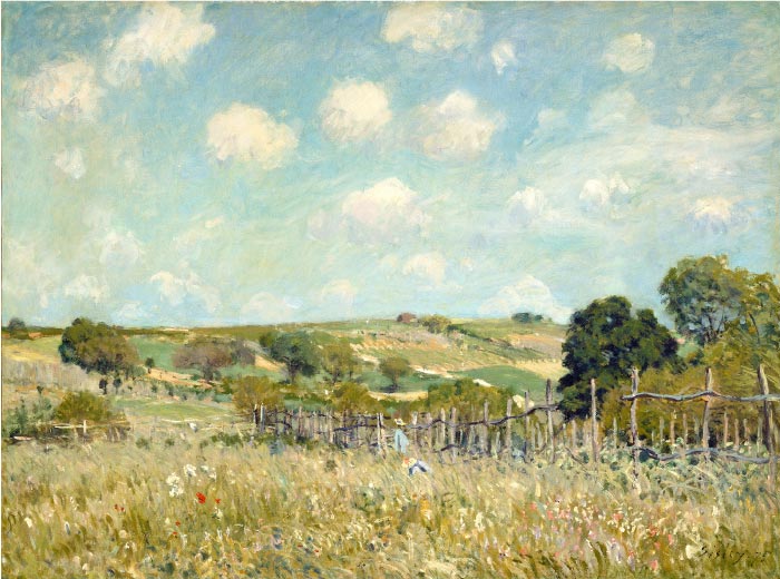阿尔弗雷德·西斯利（Alfred Sisley）高清作品-草地 - Meadow