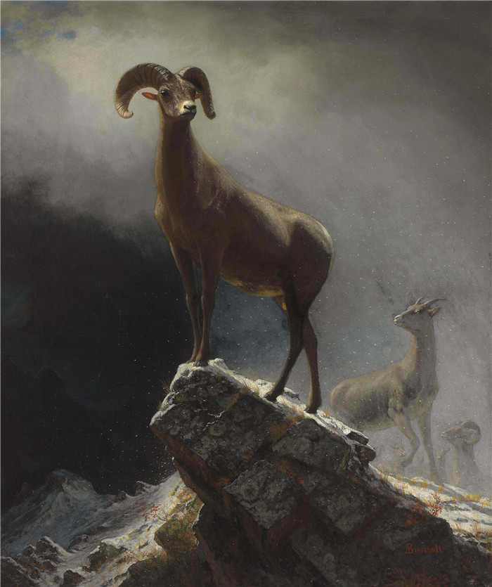 阿尔伯特·比尔施塔特（Albert Bierstadt）高清油画-Rocky Mountain Sheep