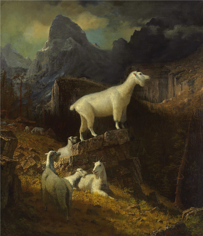 阿尔伯特·比尔施塔特（Albert Bierstadt）高清油画-Rocky Mountain Goats