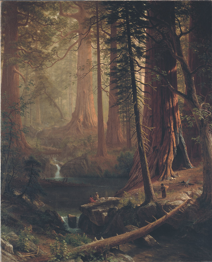 阿尔伯特·比尔施塔特（Albert Bierstadt）高清油画-加利福尼亚的巨大红木树