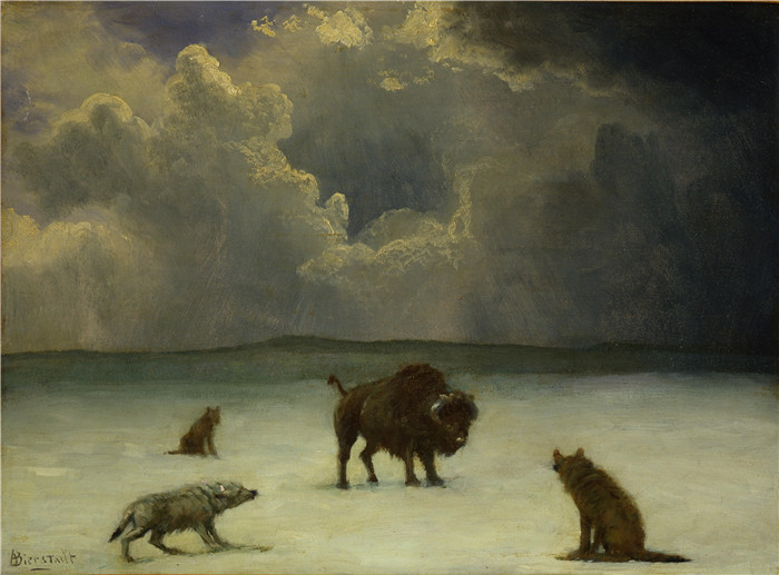 阿尔伯特·比尔施塔特（Albert Bierstadt）高清油画-水牛