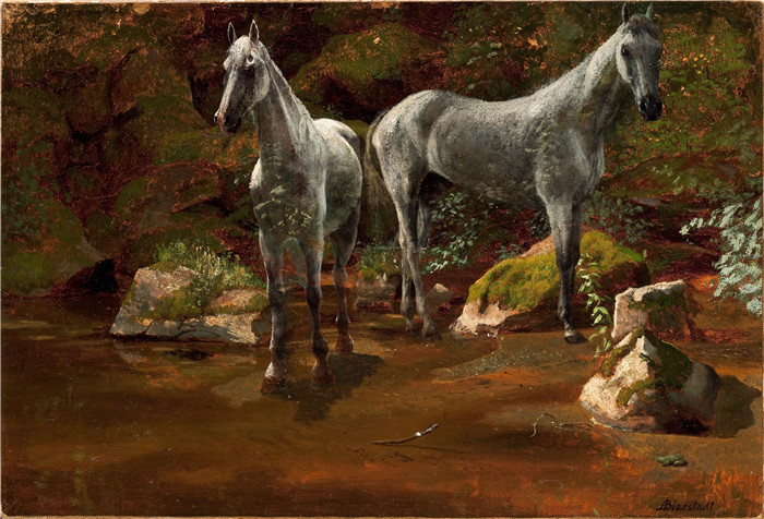 阿尔伯特·比尔施塔特（Albert Bierstadt）高清油画-白马