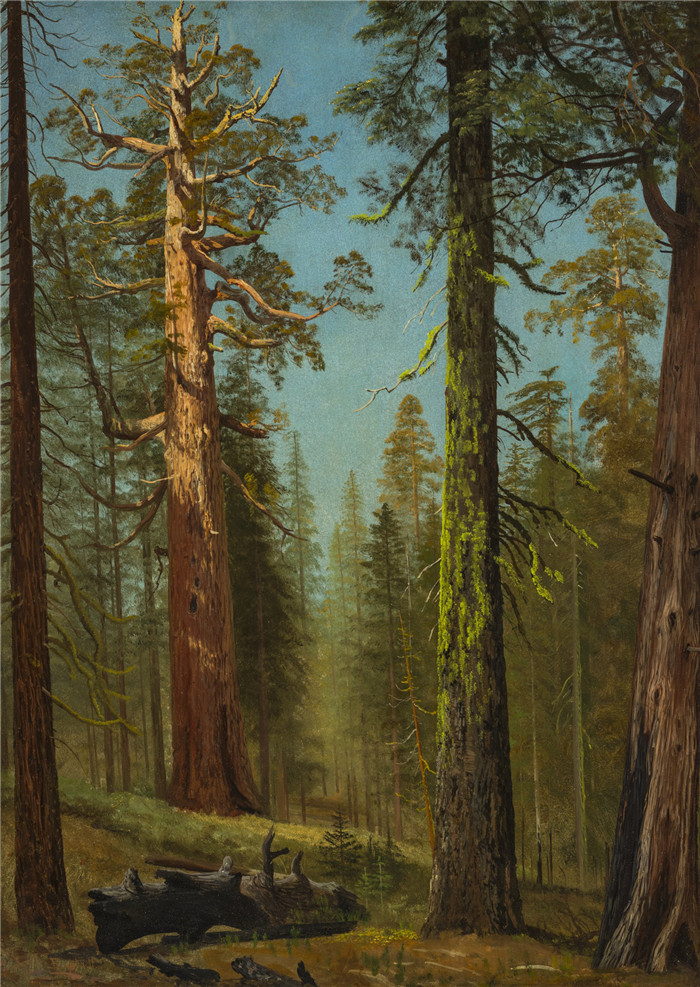 阿尔伯特·比尔施塔特（Albert Bierstadt）高清油画-树林