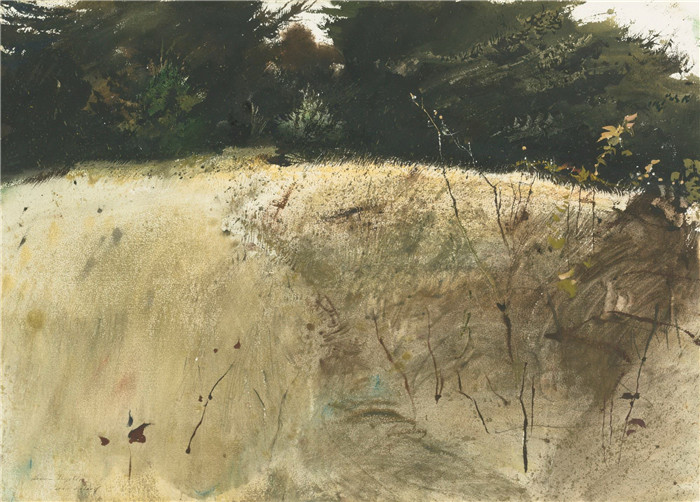 安德鲁·怀斯(Andrew Wyeth)高清作品-《秋草》，1955年