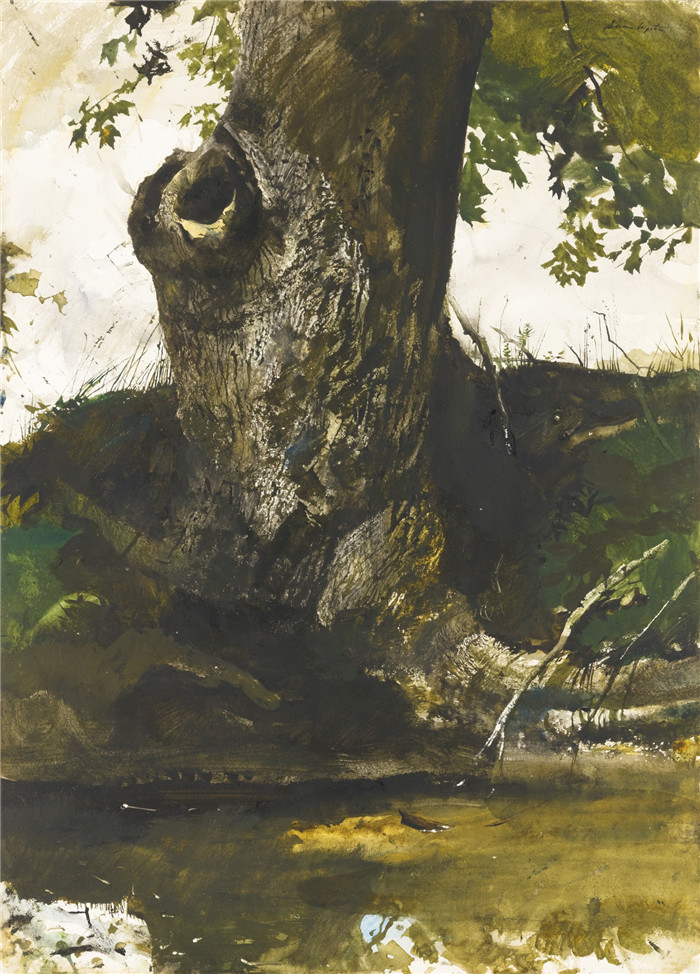 安德鲁·怀斯(Andrew Wyeth)高清作品-长尾赛跑