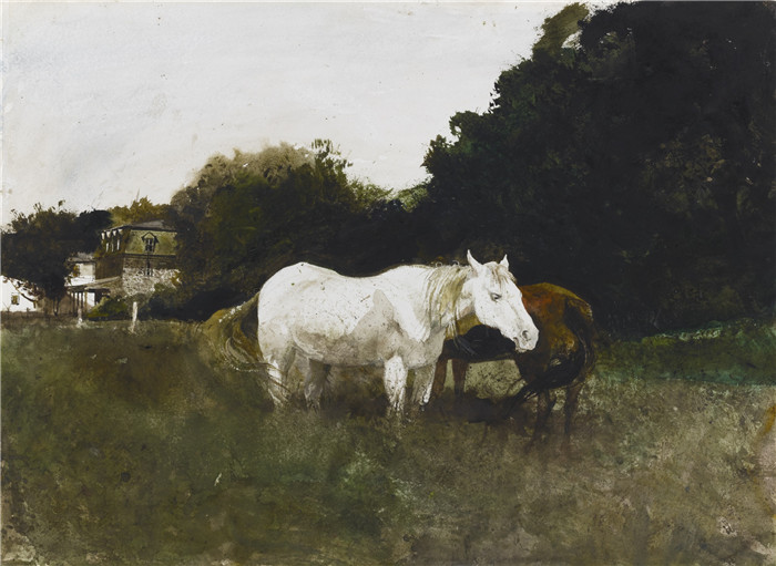安德鲁·怀斯(Andrew Wyeth)高清作品-马蝇
