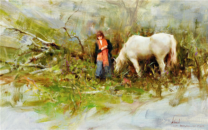 理查德.斯契米德(Richard Schmid)高清作品-苏格兰天空之岛 Scotland Isle of the Sky