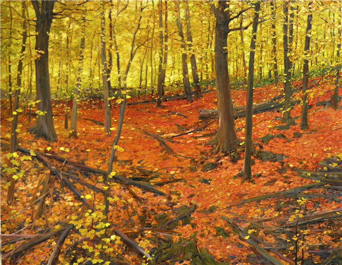 大卫·赫廷格(David Hettinger) 高清作品-秋林