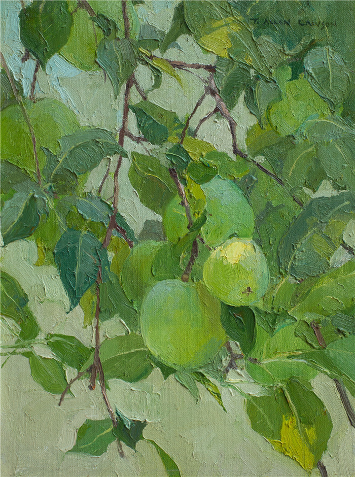 T·艾伦·劳森(T. Allen Lawson)高清作品-绿苹果 Green Apples,2003