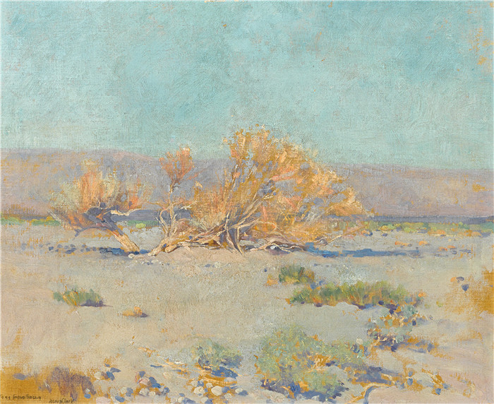 沙漠柳树 Desert willows