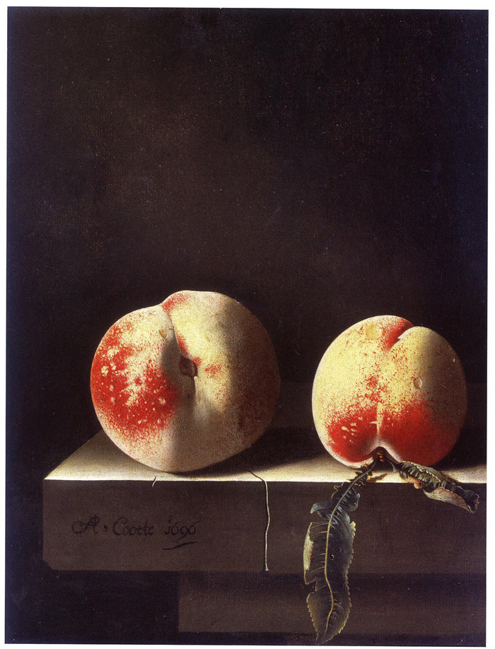 《两个桃子》阿德里亚恩·科特(Adriaen Coorte)作品-Two Peaches