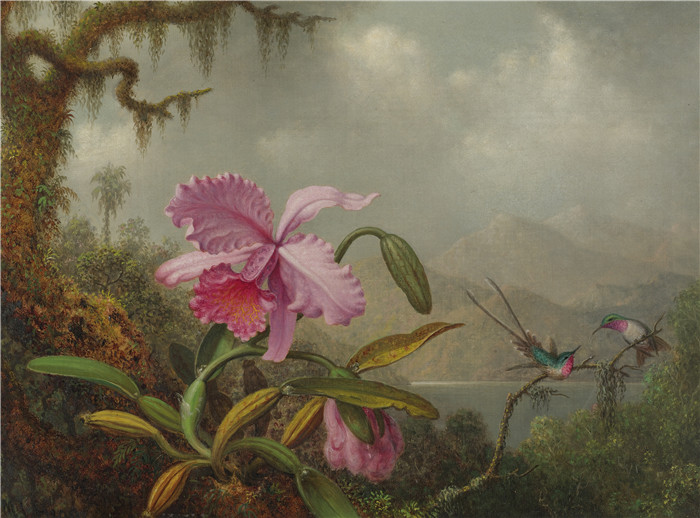 《兰花和蜂鸟》马丁·约翰逊·海德（Martin Johnson Heade）画作- Orchids and Hummingbirds