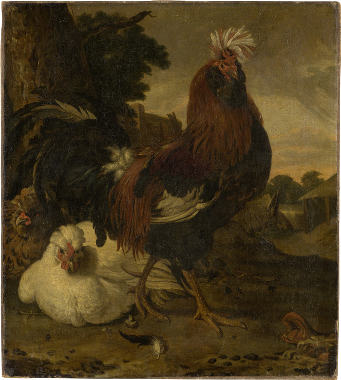 梅尔基奥尔·德德科特（Melchior d'Hondecoeter）画作-谷仓里的公鸡Cock in a Barnyard (SM 1119)