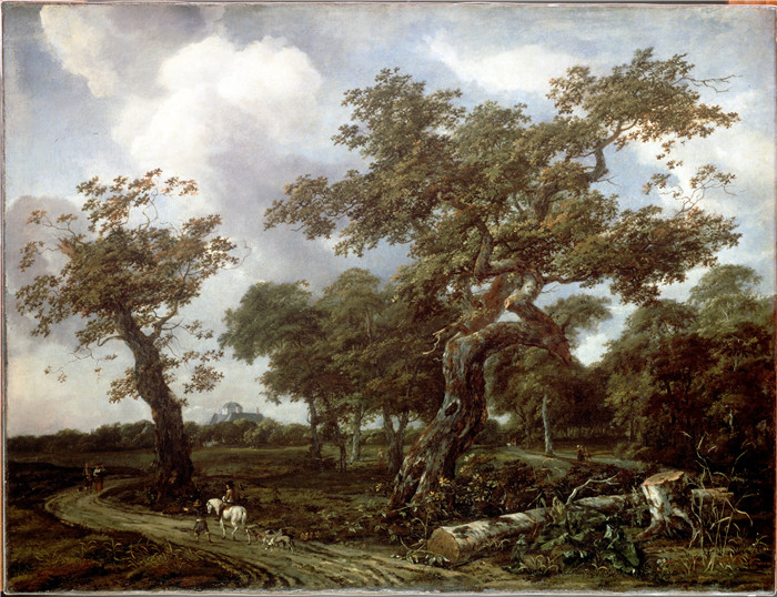 《海牙附近的一片树林》扬·范·凯塞尔 (Jan van Kessel)的画作-A Wood near The Hague