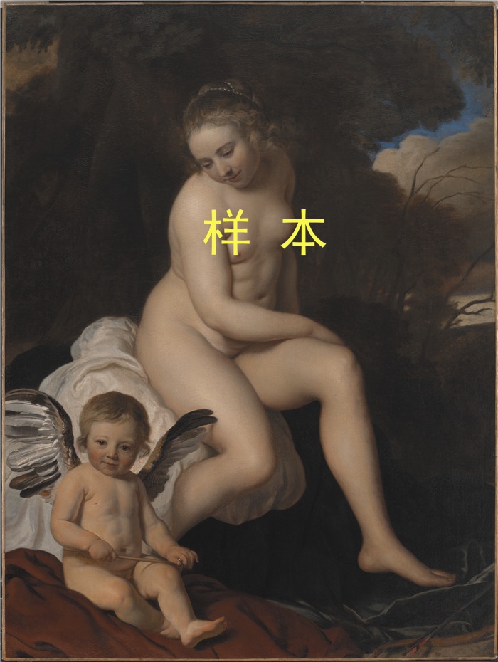 雅各布·范·卢（Jacob van Loo）画作-金星与爱Venus og Amor, ,