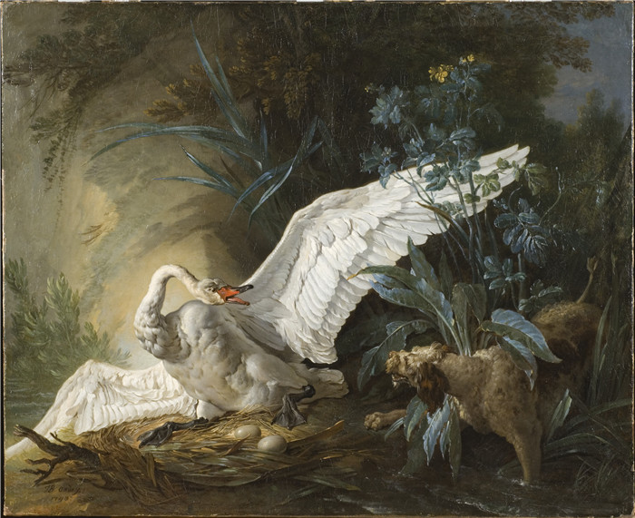 《水猎犬在巢中给天鹅一个惊喜》让-巴蒂斯特·欧德瑞（Jean-Baptiste Oudry ）画作-Water Spaniel Surprising a Swan on its Nest